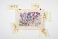 Dear-Plastic-RAG-2025via-Michael-Love_22