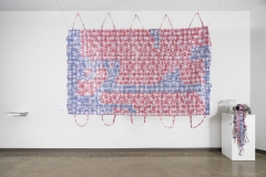 Dear-Plastic-RAG-2025via-Michael-Love_24
