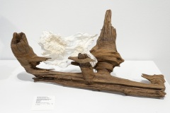 Imperfect Offerings, JESSE BIRCH, NAOKO FUKUMARU, GLENN LEWIS, 2021