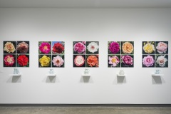 Imperfect Offerings, JESSE BIRCH, NAOKO FUKUMARU, GLENN LEWIS, 2021