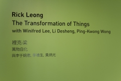 Installation of Rick Leong: The Transformation of Things, 2016