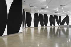 Installation of Lyse Lemieux: A GIRL'S GOTTA DO WHAT A GIRL'S GOTTA DO, April 2016