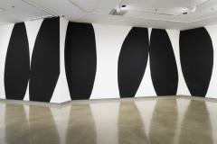 Installation of Lyse Lemieux: A GIRL'S GOTTA DO WHAT A GIRL'S GOTTA DO, April 2016