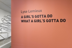 Installation of Lyse Lemieux: A GIRL'S GOTTA DO WHAT A GIRL'S GOTTA DO, April 2016