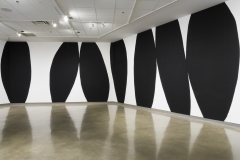 Installation of Lyse Lemieux: A GIRL'S GOTTA DO WHAT A GIRL'S GOTTA DO, April 2016