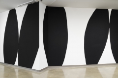 Installation of Lyse Lemieux: A GIRL'S GOTTA DO WHAT A GIRL'S GOTTA DO, April 2016