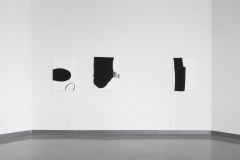 Installation of Lyse Lemieux: A GIRL'S GOTTA DO WHAT A GIRL'S GOTTA DO, April 2016