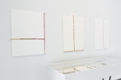 Installation of Lyse Lemieux: A GIRL'S GOTTA DO WHAT A GIRL'S GOTTA DO, April 2016