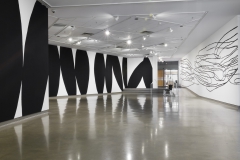 Installation of Lyse Lemieux: A GIRL'S GOTTA DO WHAT A GIRL'S GOTTA DO, April 2016