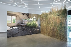 Emily Neufeld: Prairie Invasions: A Lullaby, 2020, Richmond Art Gallery