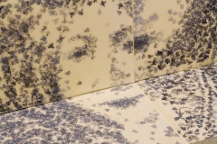 Installation of For All Is For Yourself & not by chance alone, September 2015