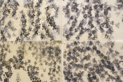 Installation of For All Is For Yourself & not by chance alone, September 2015