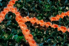 RestlessByNature_RAG_2025_viaNKPhoto_048