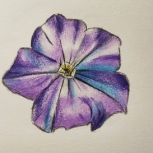Flower-study