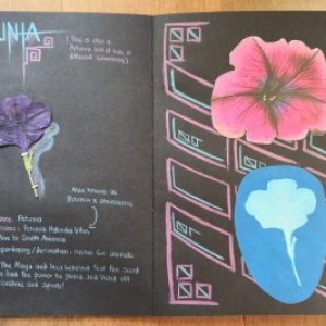 Herbarium
