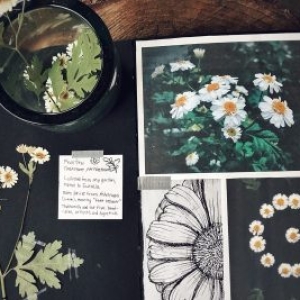 NicoleHerbarium1