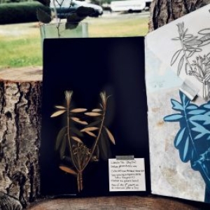 NicoleHerbarium2