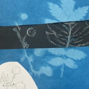 Rachel herbarium 3