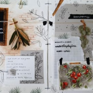 herbarium-samantha(3)