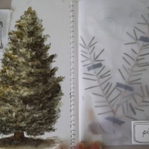 Samantha herbarium.4