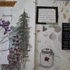 Samantha herbarium.7